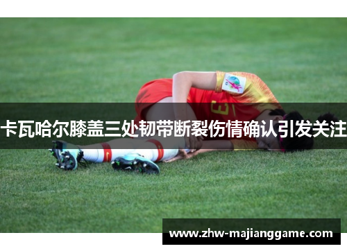 卡瓦哈尔膝盖三处韧带断裂伤情确认引发关注